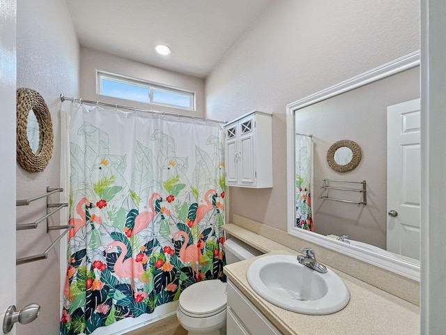 bathroom featuring toilet, vanity, and wood-type flooring