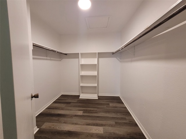 spacious closet featuring dark wood finished floors