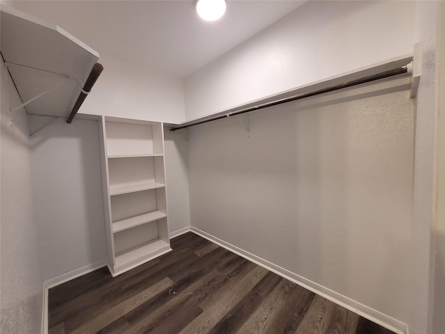 walk in closet with dark wood-style floors