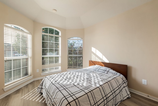 bedroom featuring lofted ceiling, multiple windows, hardwood / wood-style flooring, and a tray ceiling