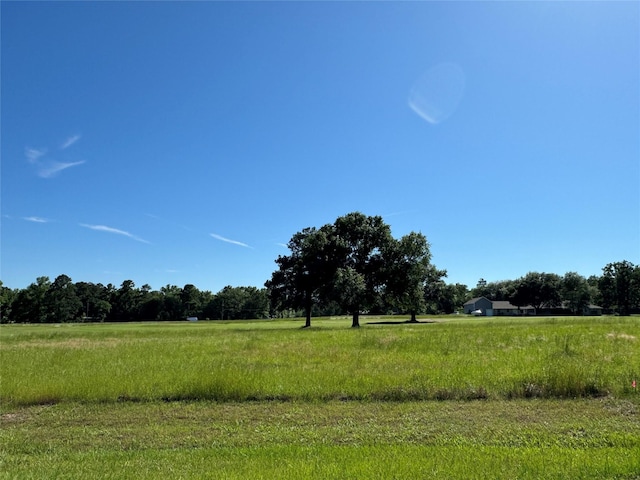 62 Oakridge S, Trinity TX, 75862 land for sale