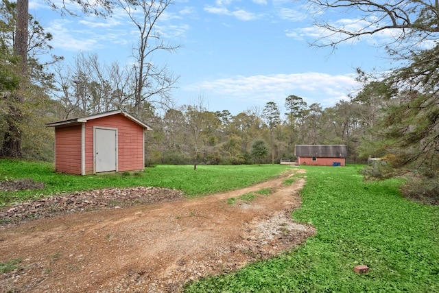 view of yard with a storage shed