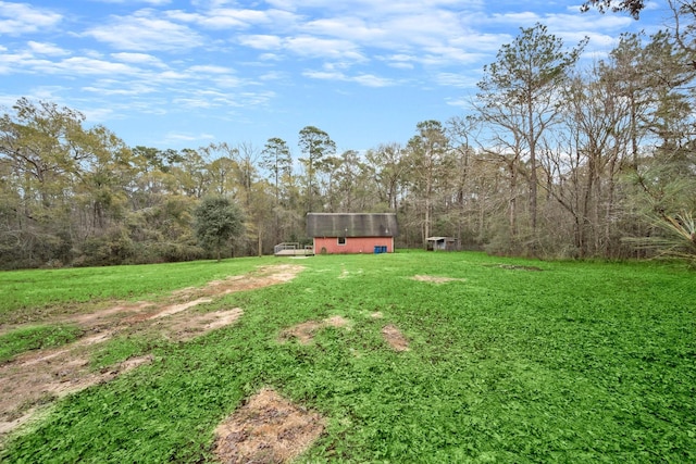 view of yard featuring a storage shed