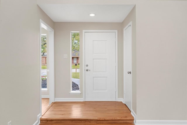 foyer featuring hardwood / wood-style floors and a wealth of natural light