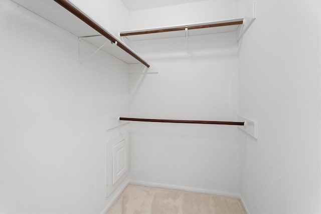 spacious closet featuring light colored carpet