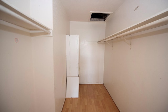 walk in closet featuring light hardwood / wood-style flooring