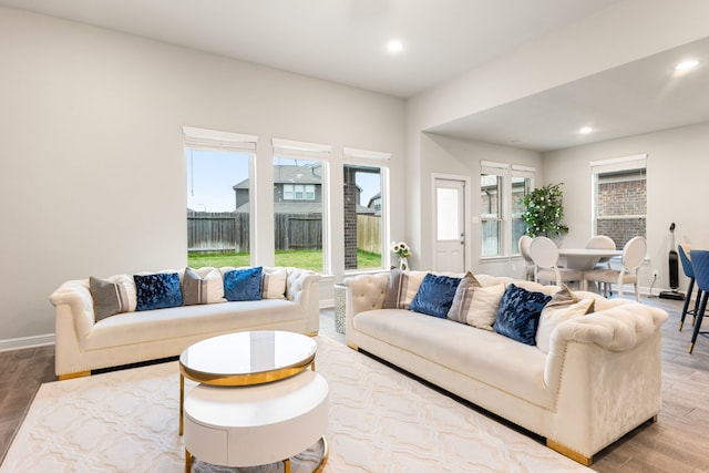 living room featuring hardwood / wood-style floors