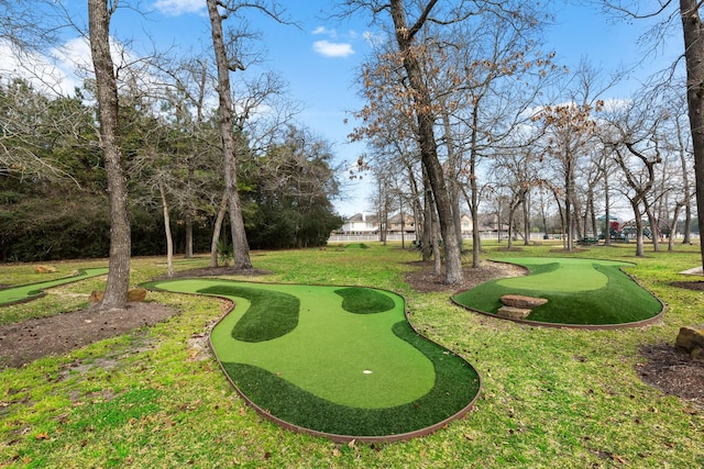 view of community featuring a yard