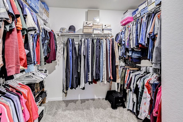 spacious closet with carpet