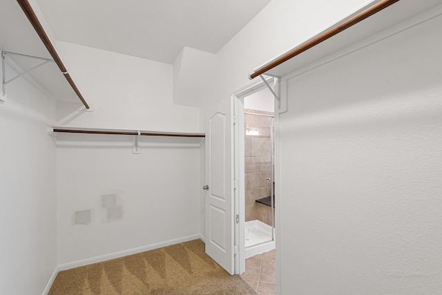 spacious closet featuring light colored carpet