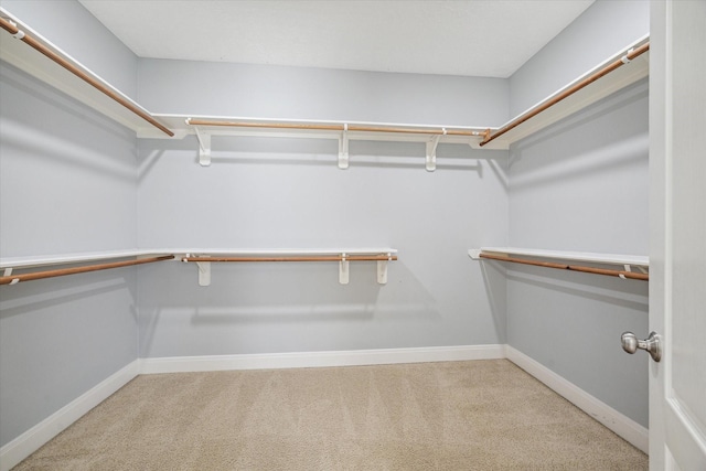 spacious closet with light carpet