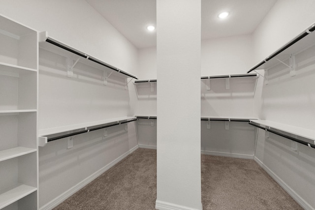 walk in closet featuring light carpet