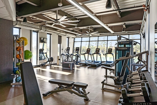 gym with floor to ceiling windows