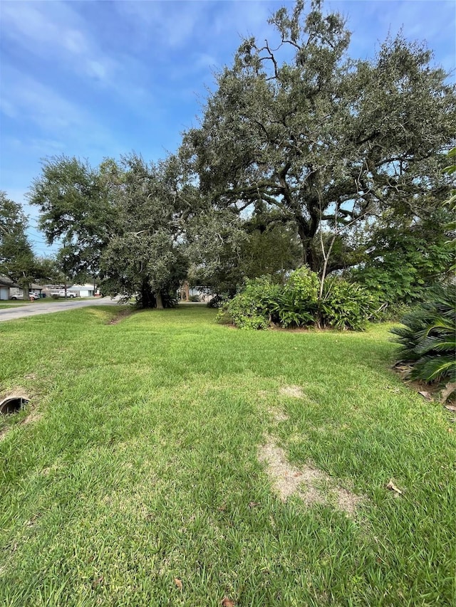502-504 E 1st St, Sweeny, TX 77480 - photo 22