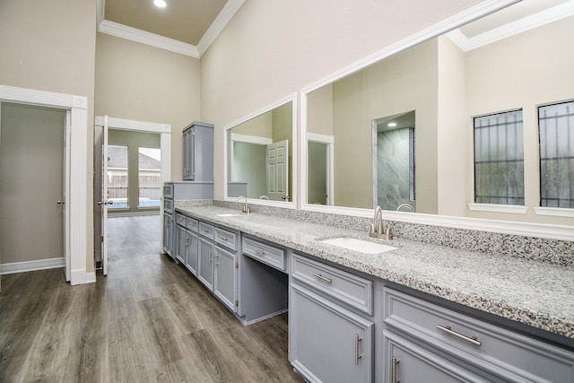 bathroom featuring hardwood / wood-style flooring, vanity, and ornamental molding