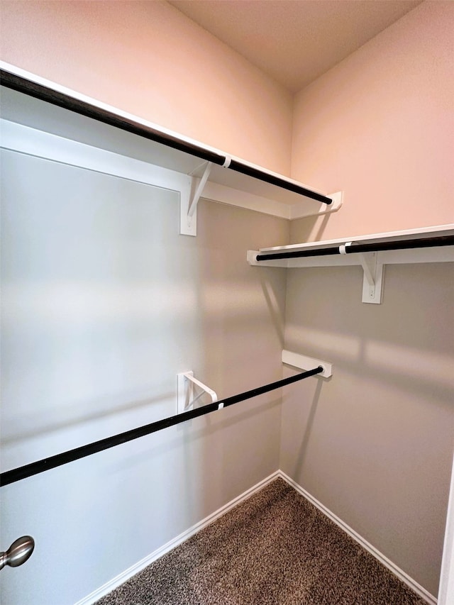 spacious closet with carpet floors