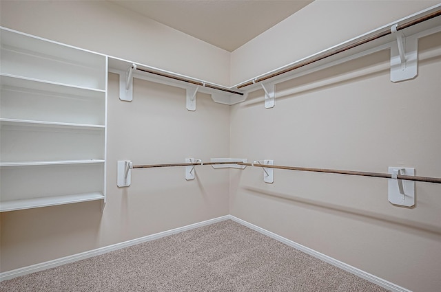 walk in closet with carpet