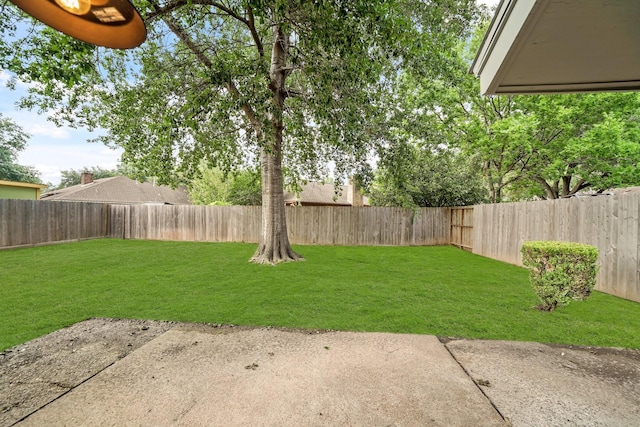 view of yard with a patio area