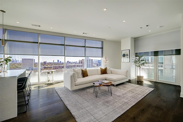 living room with dark hardwood / wood-style flooring and expansive windows