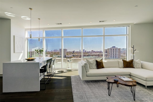 living room featuring dark hardwood / wood-style flooring and expansive windows