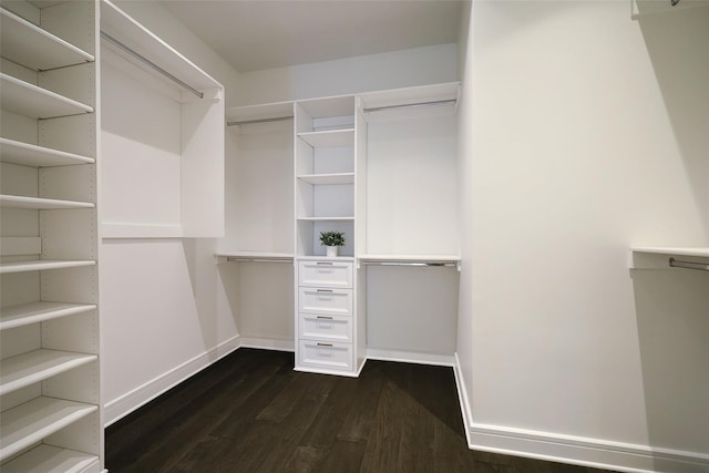 spacious closet featuring dark hardwood / wood-style floors