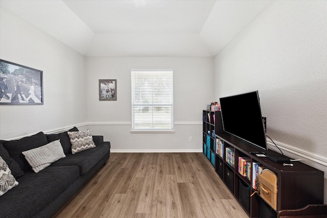 living room featuring light wood-type flooring and vaulted ceiling