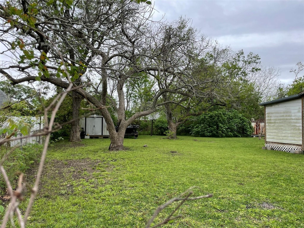 view of yard with a storage unit