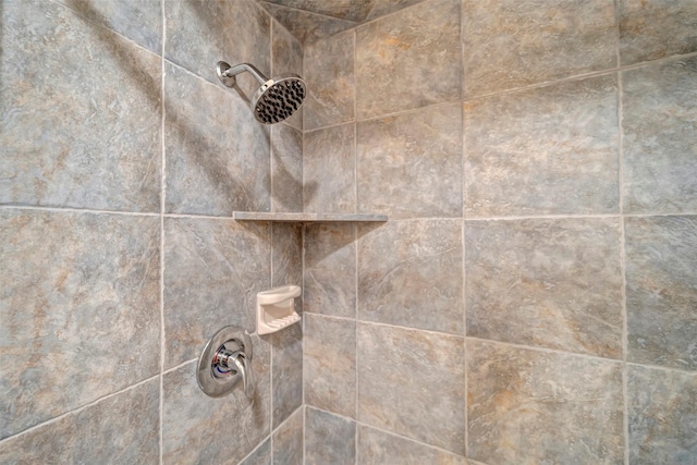 room details with a tile shower