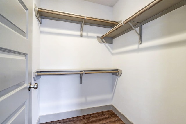 walk in closet featuring dark wood-type flooring