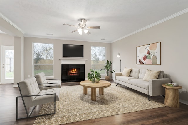 living room featuring a tiled fireplace, ceiling fan, crown molding, and dark hardwood / wood-style floors