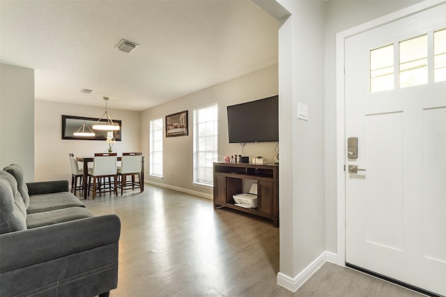 living room featuring light hardwood / wood-style floors