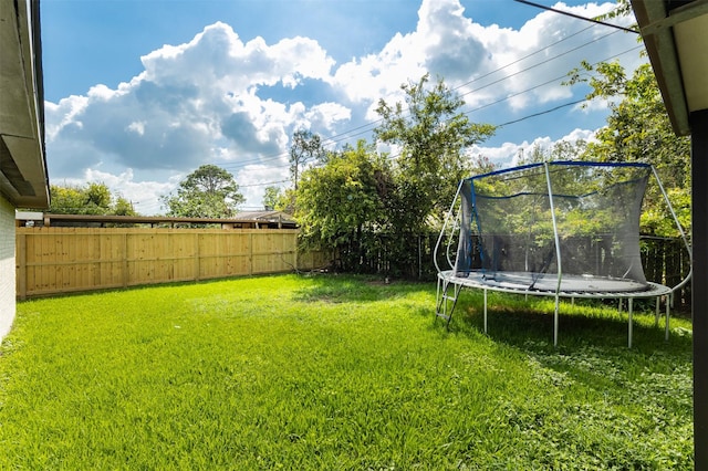 view of yard featuring a trampoline