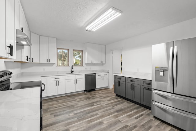 kitchen with stainless steel appliances, ventilation hood, a sink, and light wood-style flooring