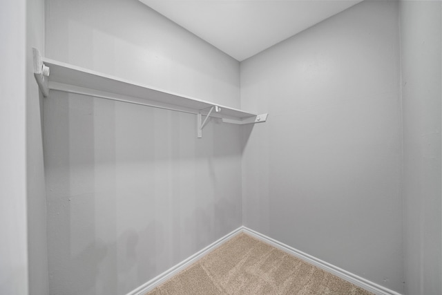 spacious closet with carpet flooring