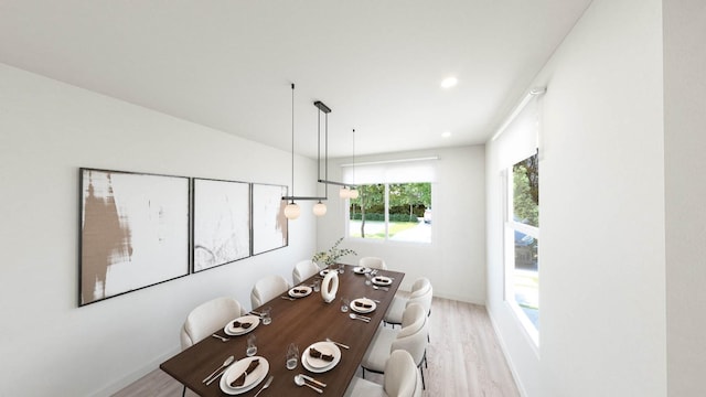 dining room with light hardwood / wood-style floors