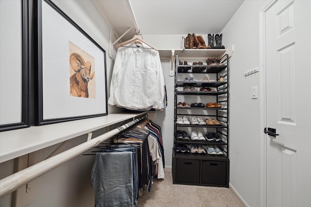 view of walk in closet