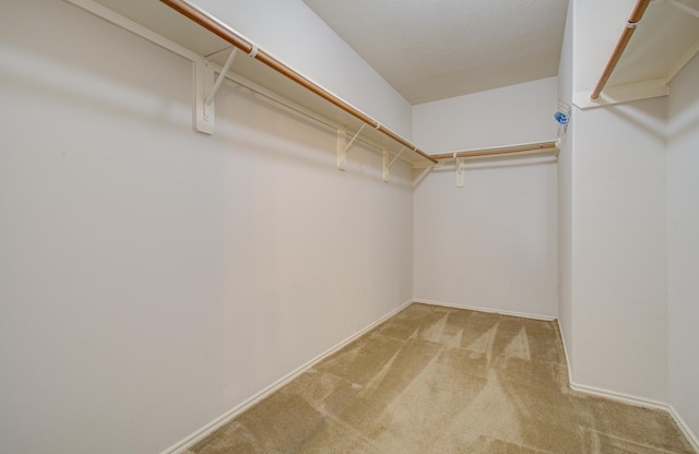 spacious closet featuring light colored carpet