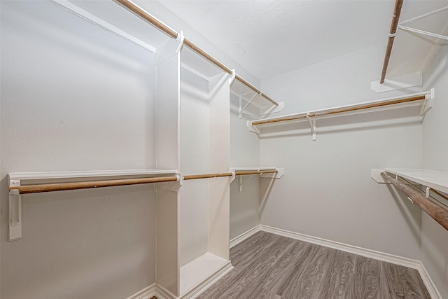 walk in closet featuring hardwood / wood-style flooring