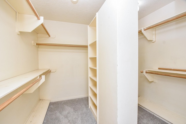 spacious closet featuring light carpet