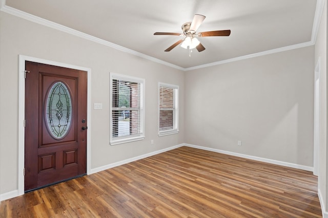 entrance foyer with ceiling fan, dark wood-type flooring, and crown molding