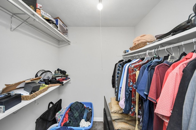 walk in closet with carpet flooring