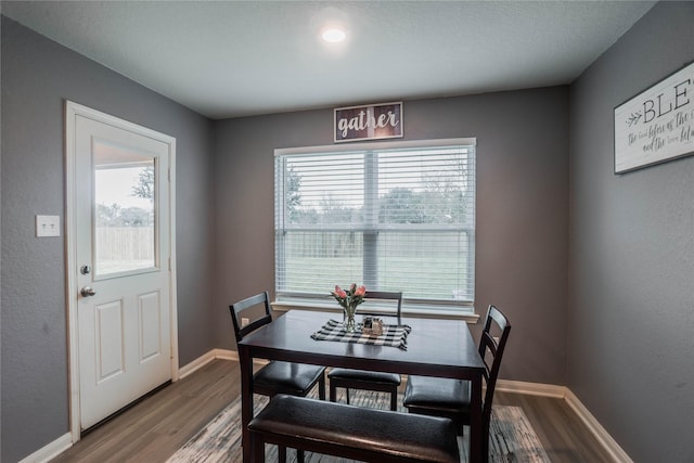 dining area with hardwood / wood-style floors and a healthy amount of sunlight