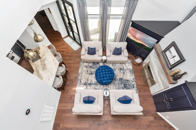 living room featuring dark hardwood / wood-style flooring