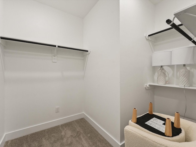 spacious closet featuring carpet flooring