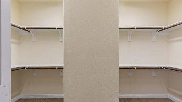 spacious closet with carpet flooring