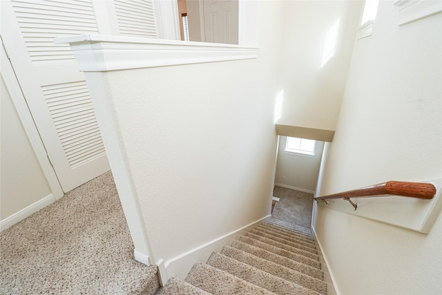 staircase featuring carpet flooring