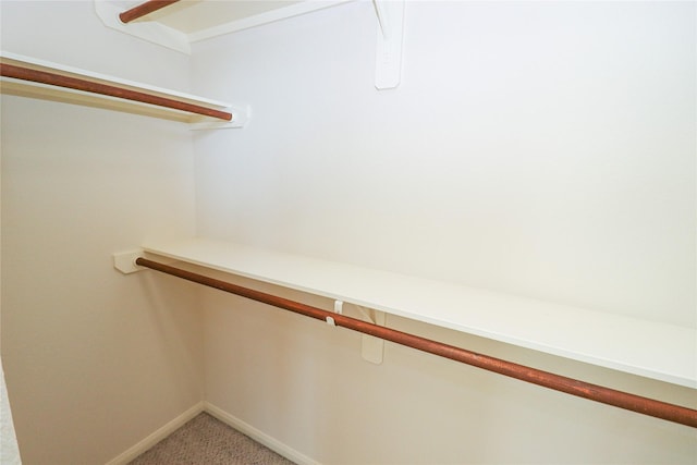 spacious closet with carpet