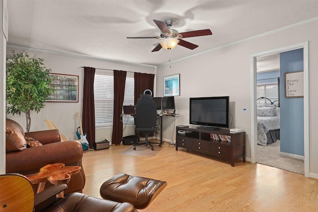 living room with ornamental molding, a textured ceiling, ceiling fan, and light wood-type flooring