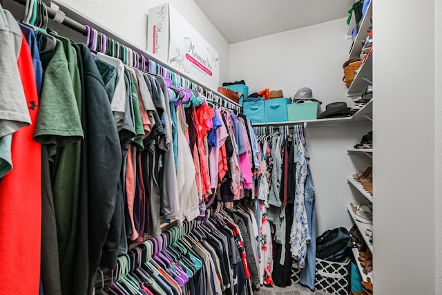 view of spacious closet