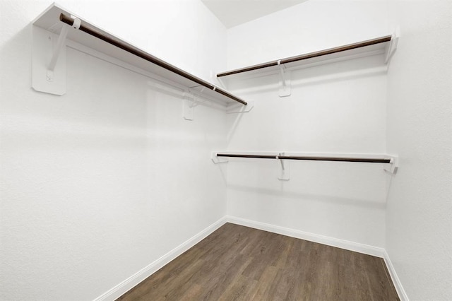 spacious closet with dark wood-type flooring